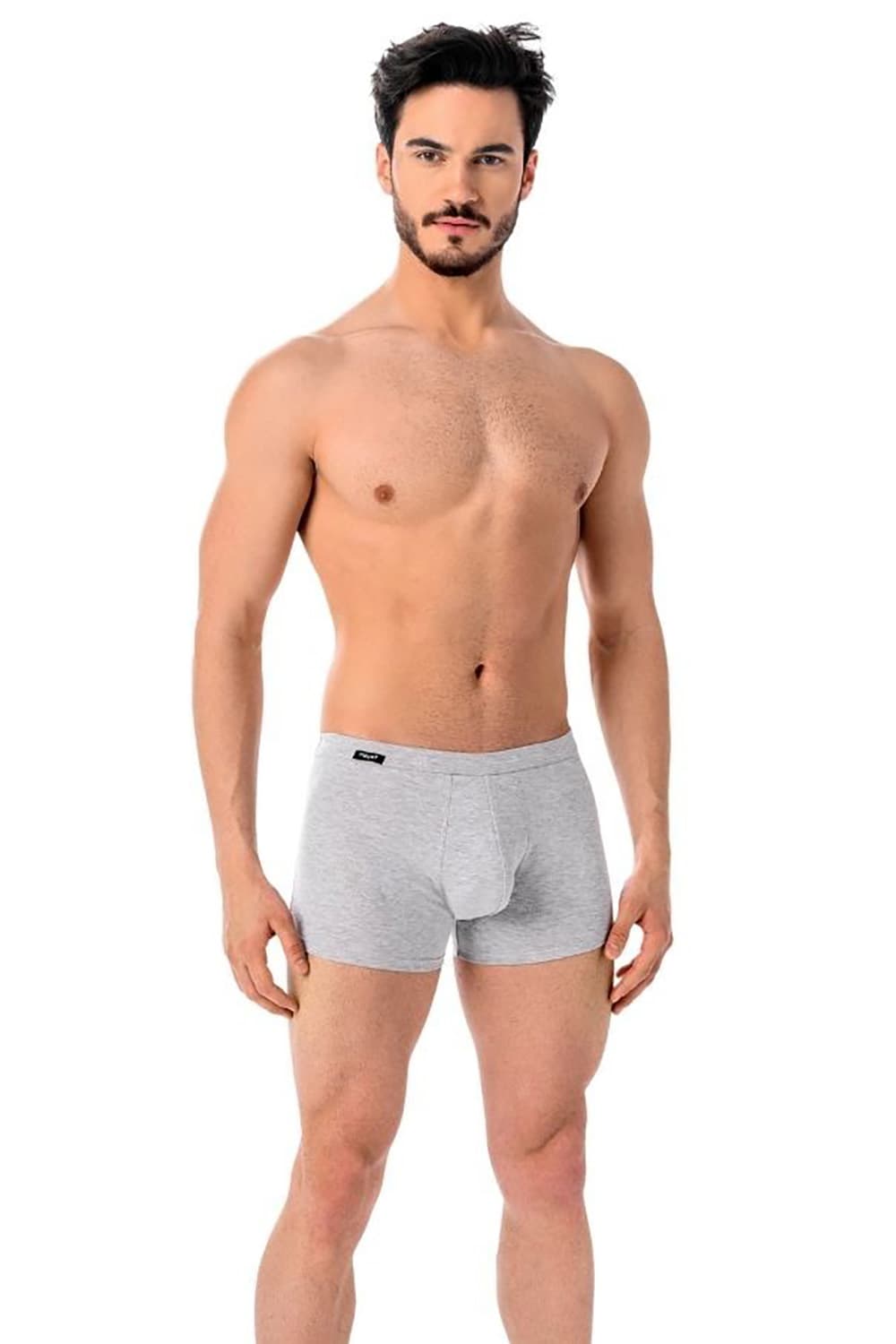 Boxer model 182973 Teyli