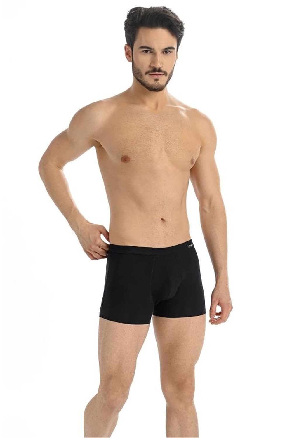 Boxer model 182977 Teyli