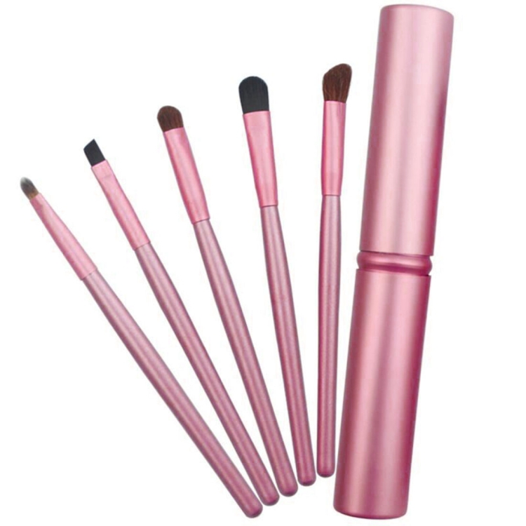 5 PCS Handle Eyes Makeup Brush Set with Aluminum Tube(Pink)