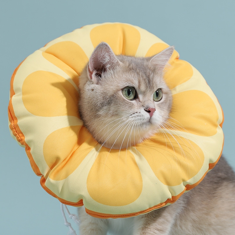 Cat Elizabeth Collar Kitten Anti-licking Collar Head Cover, Size: L(Orange)