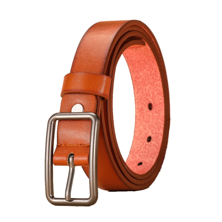 Dandali Ladies Pin Buckle Belt Versatile Jeans Waistband, Length: 105cm(Brown)