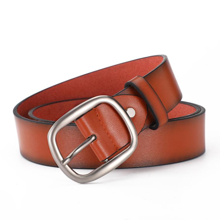 Dandali Men Alloy Pin Buckle Belt Casual Simple Hundred Pair Pants Belt, Length: 120cm(Brown)