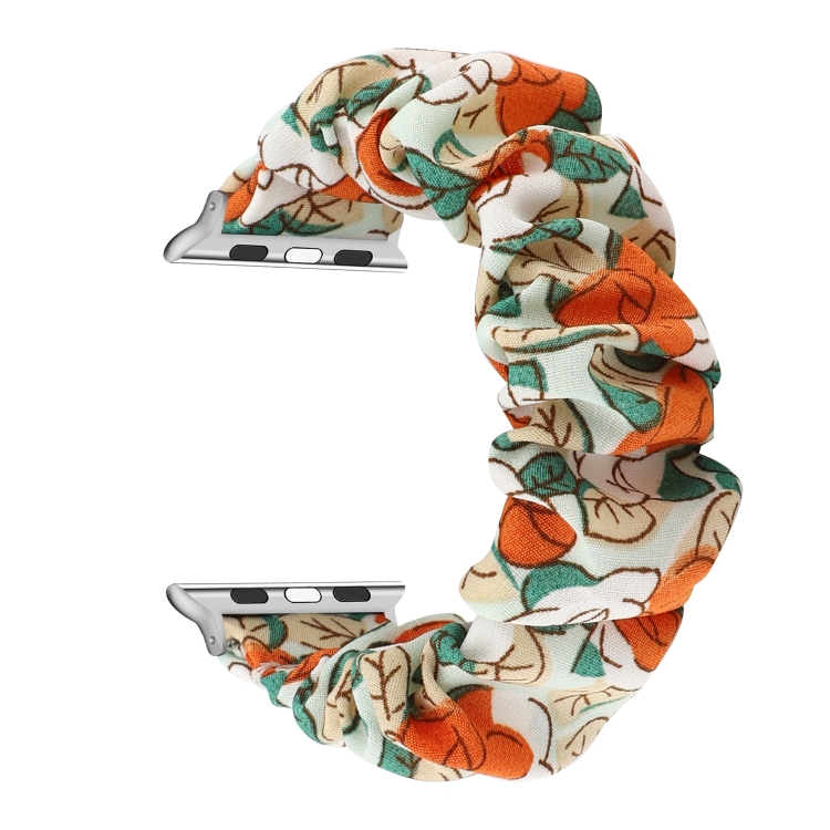 Fabric Hair Ring Watch Band For Apple Watch Series 9&8&7 41mm / SE 3&SE 2&6&SE&5&4 40mm / 3&2&1 38mm(4)