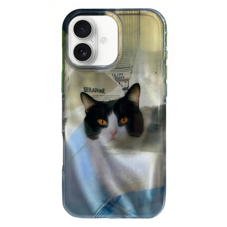 For iPhone 17 Rounded Edge IMD Pattern TPU Phone Case(Sky Blue Cat)