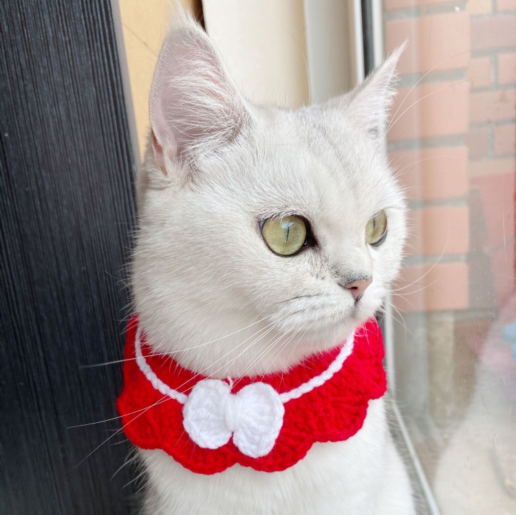 Handmade Woolen Knitting Adjustable Flower Bow Knot Cat Dog Bib Accessories Collar, Size:M 25-35cm(Red)
