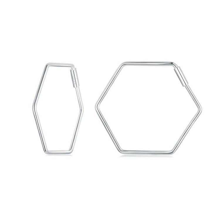 S925 Sterling Silver Zircon Hexagonal Earrings(SCE1710)