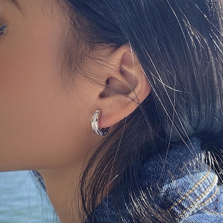 Temperament Ladies Light Luxury Pearl Double Layer Earrings Diamond Earrings, Specification:EH1671